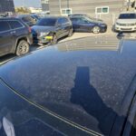 RENAULT SAMSUNG QM3 (Авто клієнта) 2017 VF12RS01AJW745145 G MOTORS Фото 21