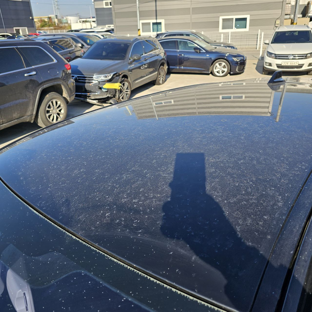 photo_17_2024-12-09_21-27-14