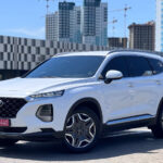 HYUNDAI SANTA FE 2019 KMHS381CDLU244711 G MOTORS Фото 3