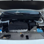 HYUNDAI SANTA FE 2019 KMHS381CDLU244711 G MOTORS Фото 30