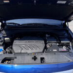 HYUNDAI SANTA FE 2019 KMHS281BDKU167093 G MOTORS Фото 28