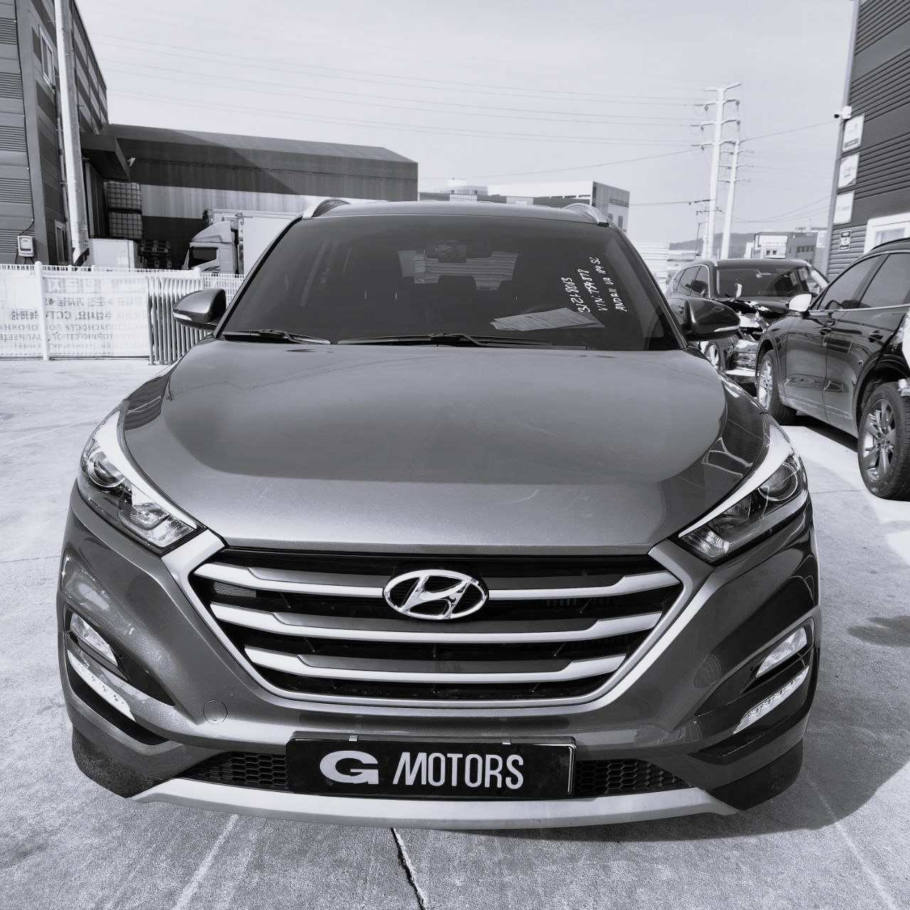 photo_2025-04-29_23-45-19