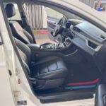 GEELY EMGRAND EV450 2018 LB378Y4W9JA185493 G MOTORS Фото 13
